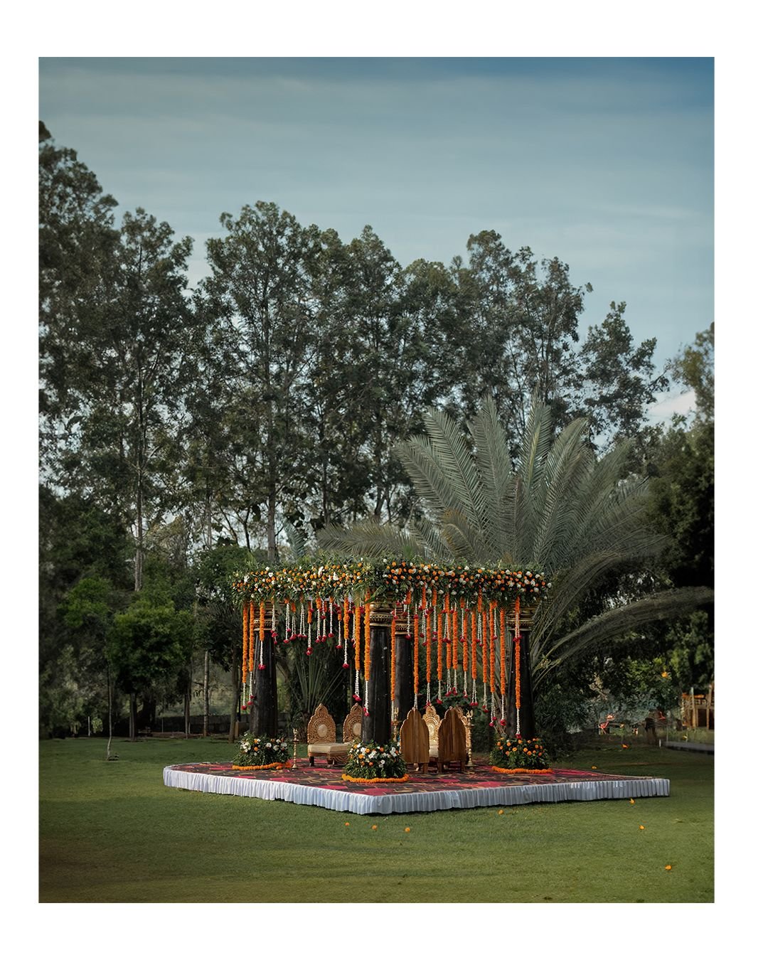 Wedding 5